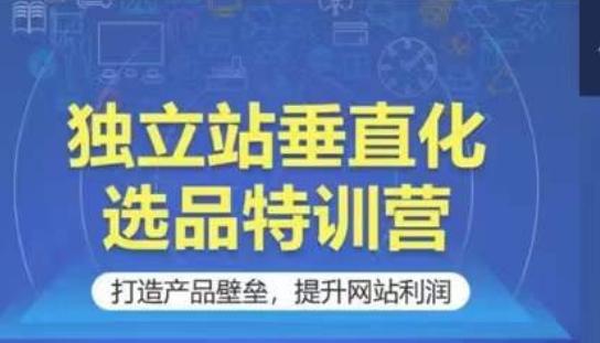 独立站垂直化选品特训营，打造产品壁垒，提升网站利润-梦凌网创