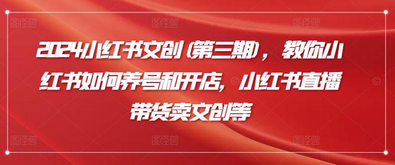 2024小红书文创(第三期)，教你小红书如何养号和开店，小红书直播带货卖文创等-梦凌网创