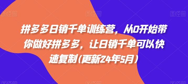 拼多多日销千单训练营，从0开始带你做好拼多多，让日销千单可以快速复制(更新24年5月)-梦凌网创