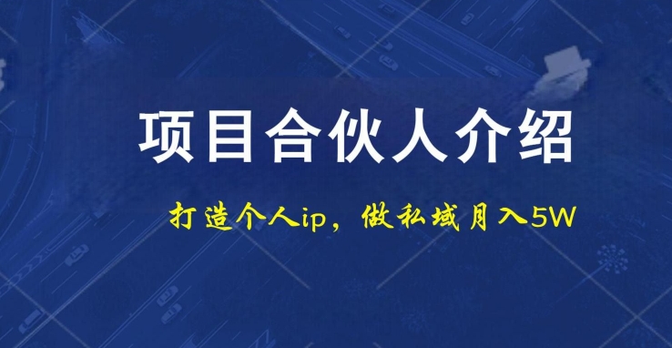 项目合伙人项目，打造个人IP，做私域月入5W，小白勿扰-梦凌网创