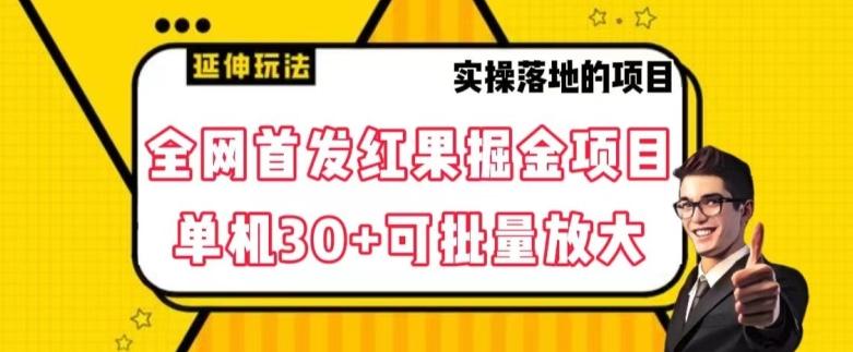 全网首发红果免费短剧掘金项目，单机30+可批量放大【揭秘】-梦凌网创
