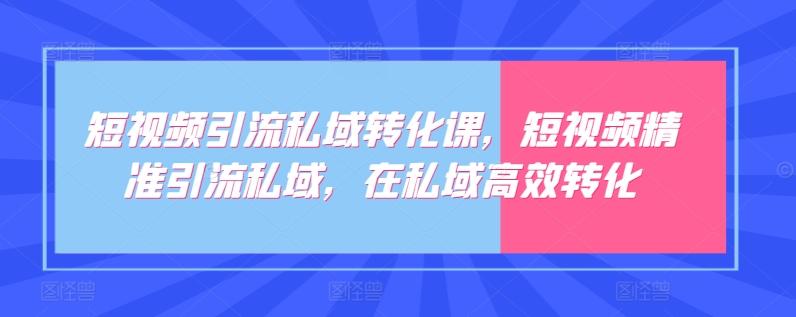 短视频引流私域转化课，短视频精准引流私域，在私域高效转化-梦凌网创