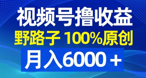 视频号野路子撸收益，100%原创，条条爆款，月入6000＋【揭秘】-梦凌网创
