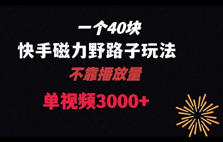 一个40块，快手联合美团磁力新玩法，无视机制野路子玩法，单视频收益4位数【揭秘】-梦凌网创