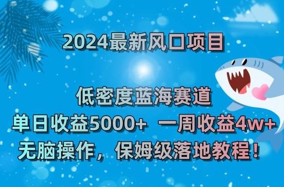 2024最新风口项目，低密度蓝海赛道，单日收益5000+，一周收益4w+！【揭秘】-梦凌网创