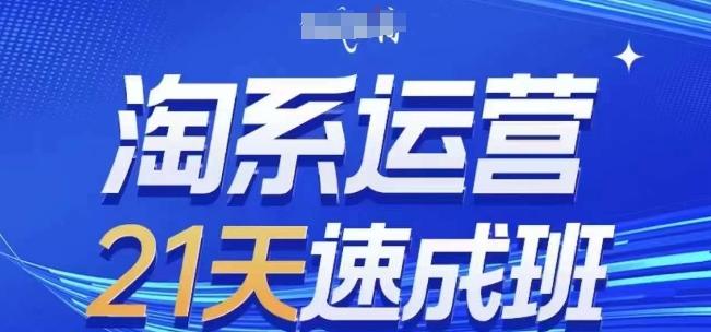 淘系运营21天速成班(更新24年7月)，0基础轻松搞定淘系运营，不做假把式-梦凌网创