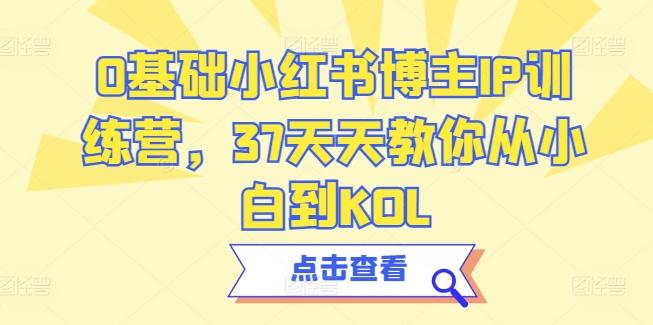 0基础小红书博主IP训练营，37天天教你从小白到KOL-梦凌网创