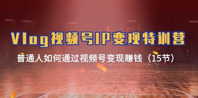 Vlog 视频号IP变现特训营，普通人如何通过视频号变现赚钱(15节-梦凌网创