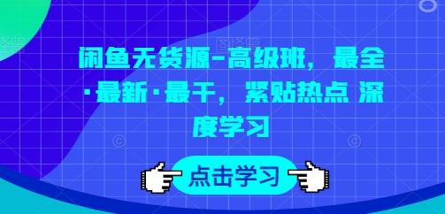 闲鱼无货源-高级班，最全·最新·最干，紧贴热点 深度学习-梦凌网创