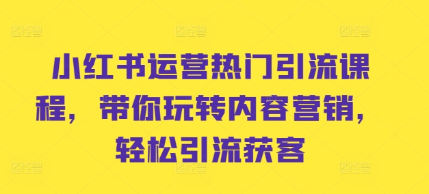 小红书运营热门引流课程，带你玩转内容营销，轻松引流获客-梦凌网创