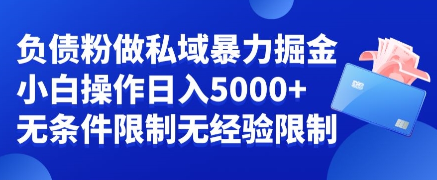 负债粉私域暴力掘金，小白操作入5000，无经验限制，无条件限制【揭秘】-梦凌网创