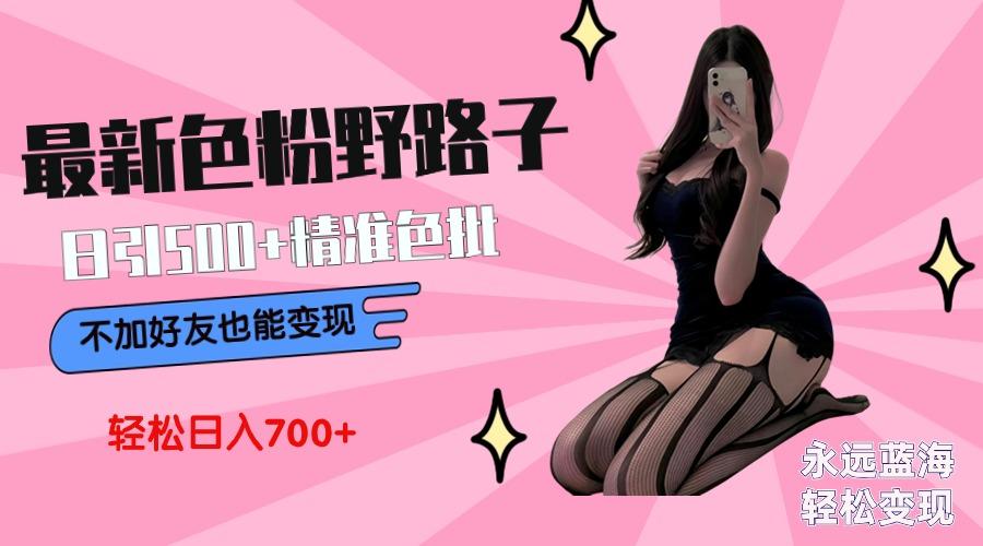 最新色粉变现野路子，日引500+老色批 可不加好友直接变现 小白轻松日入700+-梦凌网创
