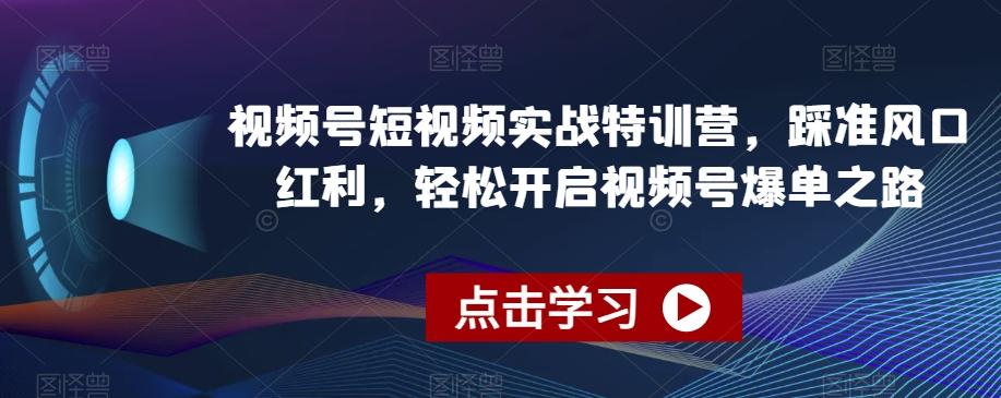 视频号短视频实战特训营，踩准风口红利，轻松开启视频号爆单之路-梦凌网创