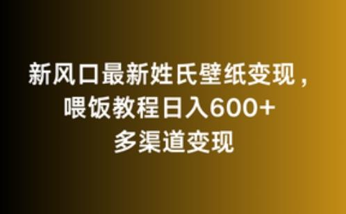 新风口最新姓氏壁纸变现，喂饭教程日入600+【揭秘】-梦凌网创