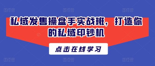 私域发售操盘手实战班，打造你的私域印钞机-梦凌网创