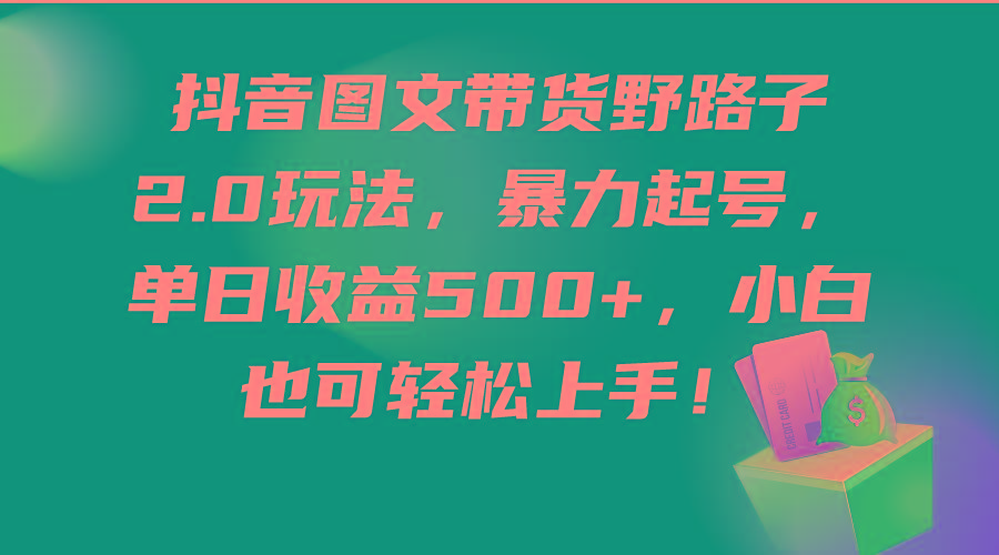 (9790期)抖音图文带货野路子2.0玩法，暴力起号，单日收益500+，小白也可轻松上手！-梦凌网创