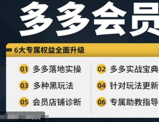 拼多多会员，拼多多实战宝典+实战落地实操，从新手到高阶内容全面覆盖-梦凌网创