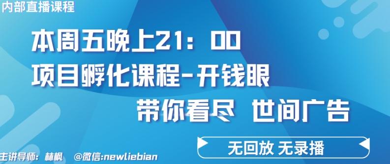 4.26日内部回放课程《项目孵化-开钱眼》赚钱的底层逻辑【揭秘】-梦凌网创
