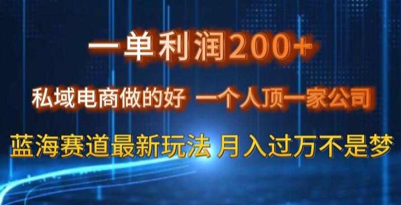 一单利润200私域电商做的好，一个人顶一家公司蓝海赛道最新玩法【揭秘】-梦凌网创