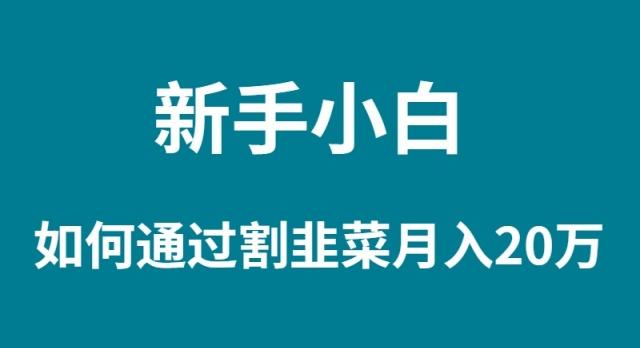 (9308期)新手小白如何通过割韭菜月入 20W-梦凌网创