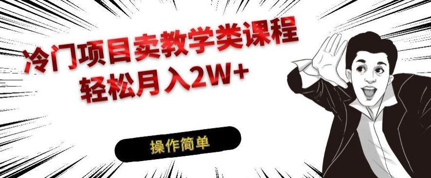 冷门项目卖教学类课程，轻松月入2W+-梦凌网创