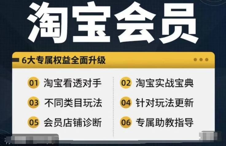 淘宝会员【淘宝所有课程，全面分析对手】，初级到高手全系实战宝典-梦凌网创