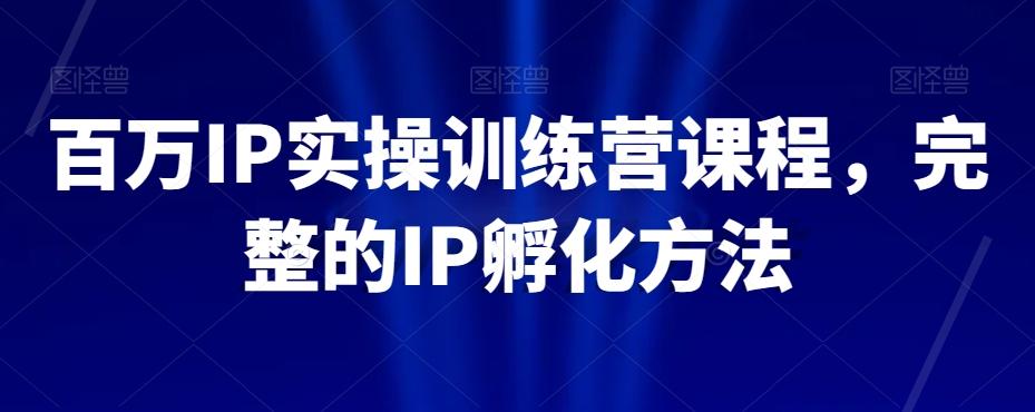 百万IP实操训练营课程，完整的IP孵化方法-梦凌网创