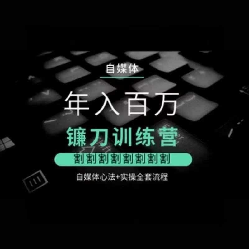 自媒体年入百万镰刀训练营，割割割割割割割割，自媒体心法+实操全套流程-梦凌网创