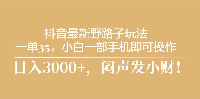 抖音最新野路子玩法，一单35，小白一部手机即可操作，，日入3000+，闷…-梦凌网创