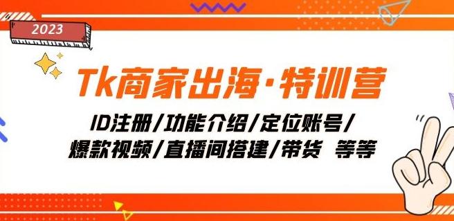 Tk商家出海·特训营：ID注册/功能介绍/定位账号/爆款视频/直播间搭建/带货-梦凌网创
