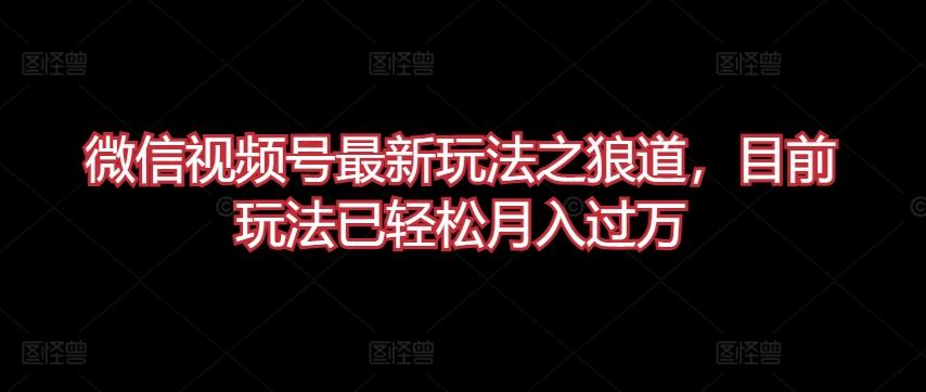 微信视频号最新玩法之狼道，目前玩法已轻松月入过万【揭秘】-梦凌网创