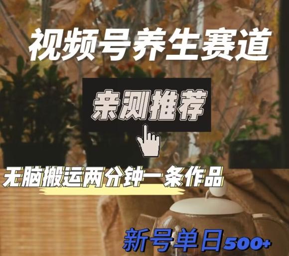 视频号养生赛道暴力掘金，无脑搬运，两分钟一条作品-新日单入500+-梦凌网创