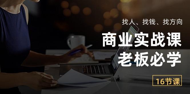 商业实战课【老板必学】：找人、找钱、找方向(16节课-梦凌网创