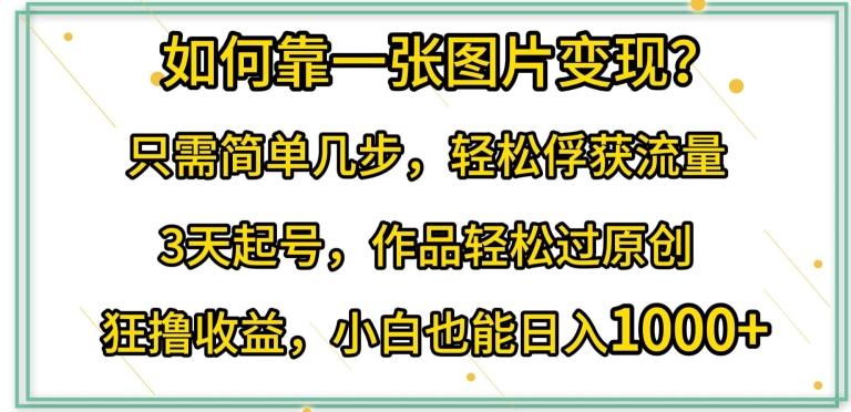如何靠一张图片变现?只需简单几步，轻松俘获流量，3天起号，作品轻松过原创【揭秘】-梦凌网创