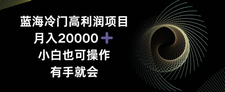蓝海冷门高利润项目月入2000，小白也可操作有手就会-梦凌网创